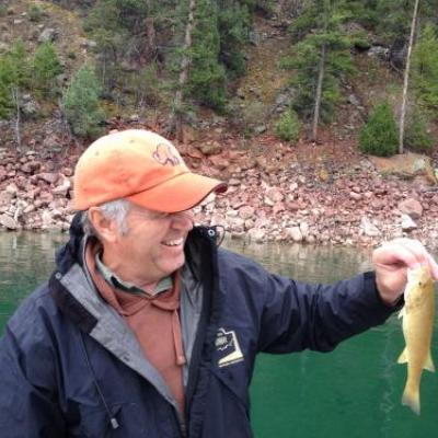 Profile picture for user bill bates