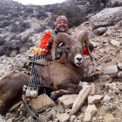 Profile picture for user Steve Belinda