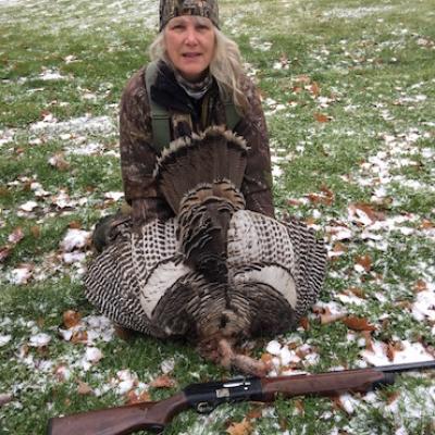 Profile picture for user Molly Cook