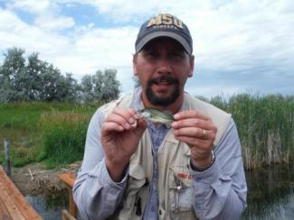 Profile picture for user Lance McNew