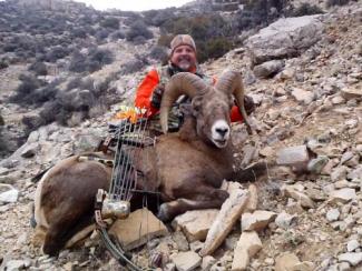 Profile picture for user Steve Belinda